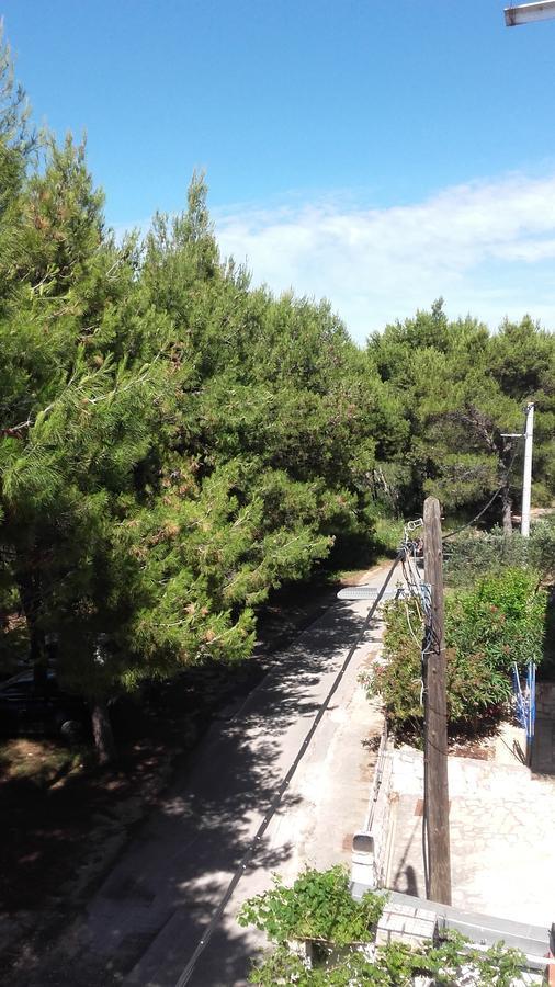 Donji Okrug  Villa Mateja מראה חיצוני תמונה