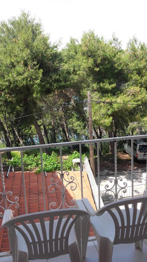 Donji Okrug  Villa Mateja מראה חיצוני תמונה