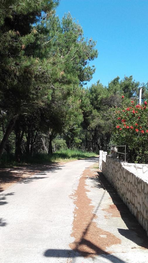 Donji Okrug  Villa Mateja מראה חיצוני תמונה