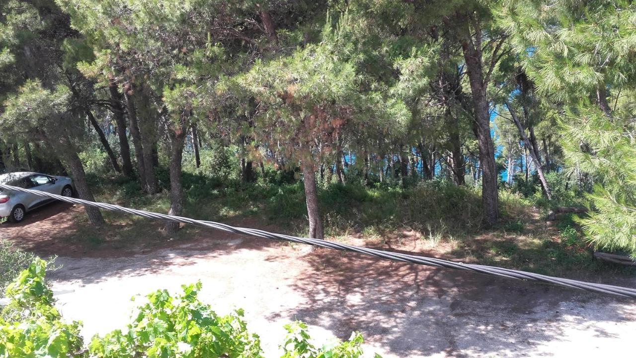 Donji Okrug  Villa Mateja מראה חיצוני תמונה