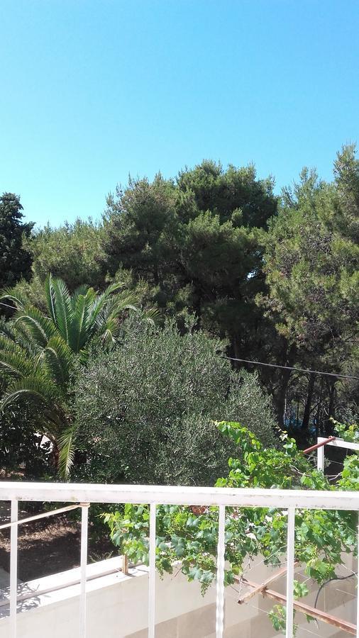 Donji Okrug  Villa Mateja מראה חיצוני תמונה